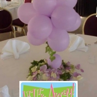 Up, Up & Away! Centerpiece (9).jpg