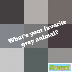 What's your favorite grey animal? | Up, Up & Away!